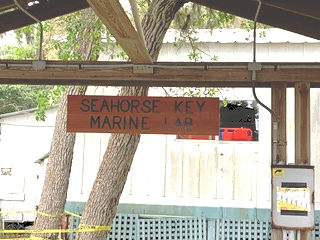 Picture of the sign at the Marine Lab  pavilion at Seahorse Key