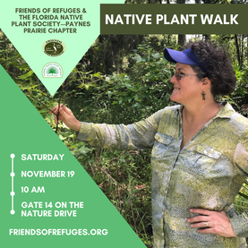 Poster announcing the Native Plant Walk