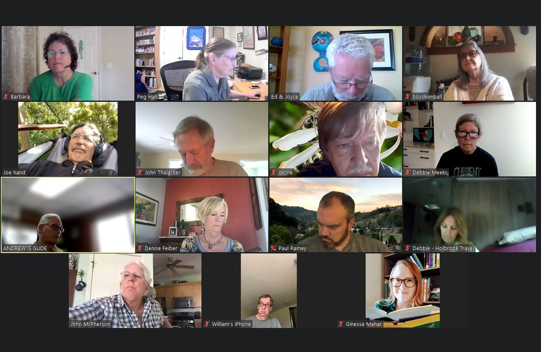 Picture of a zoom meeting of the board of directors