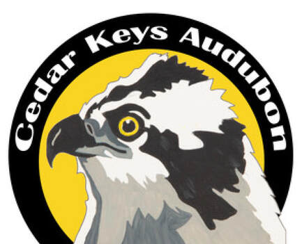 Cedr Keys Audubon logo