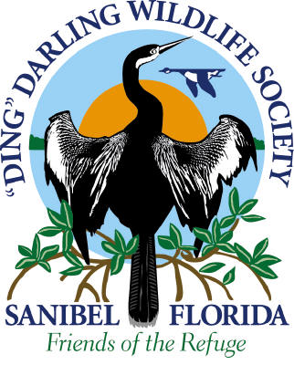 logo of Ding Darling Wildlife Society with anhinga, wings spread to dry