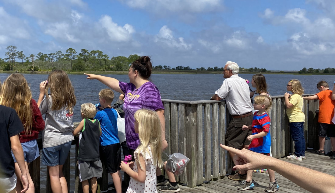 Picture of children and adults pointing to dolphins from the Shell Mound pier.
