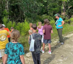 Picture kids and an adult identifying butterfly habitsat along the side of a Refuge road.