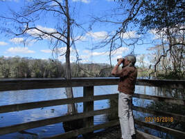 Picture of birdwatcher at the River Trail overlook platform