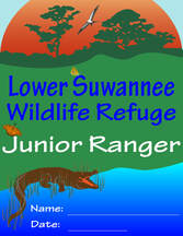 Picture og the cover of the Junior Ranger Workbook 