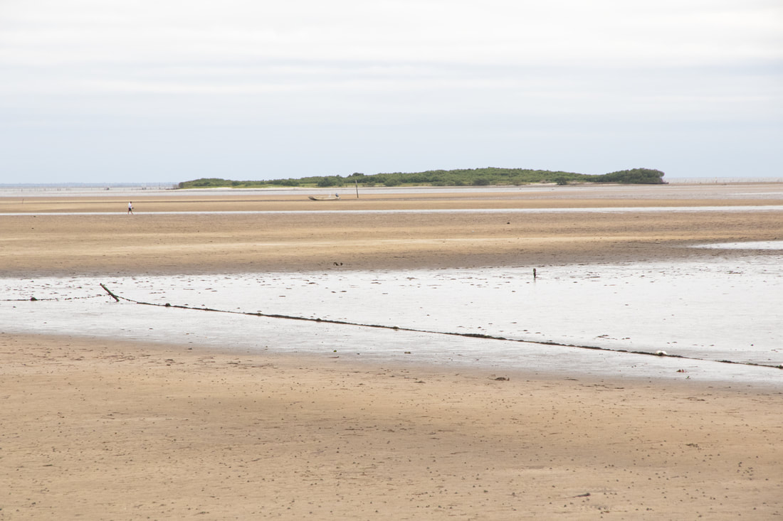 Picture of a very low tide Facing east toward Dog Island 