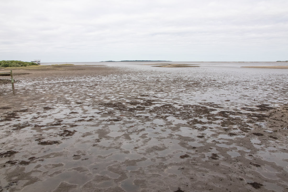 Picture of Low tide in Hurricane Ian. Facing west.