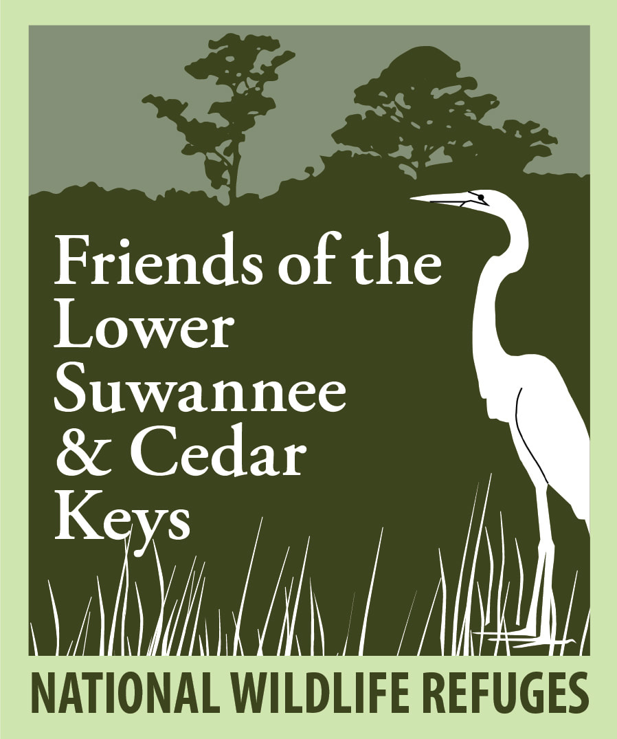 Logo of Friends of Lower Suwannee & Cedar Keys with heron in swamp