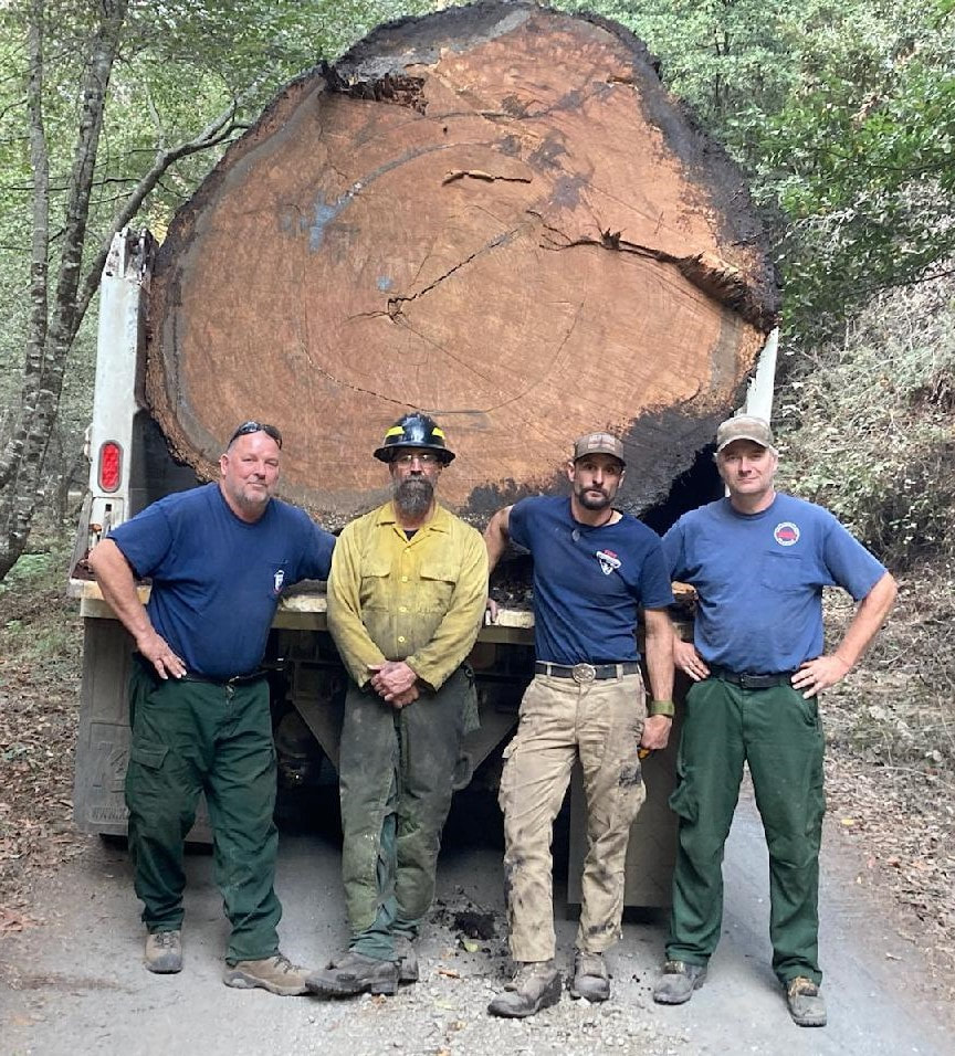 Four men standing in front of a truck carrying a large, cut Douglas Fir tree