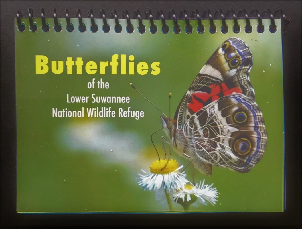 Picture of the cover of the Guidebook to Butterflies of the Lower Suwannee NWR