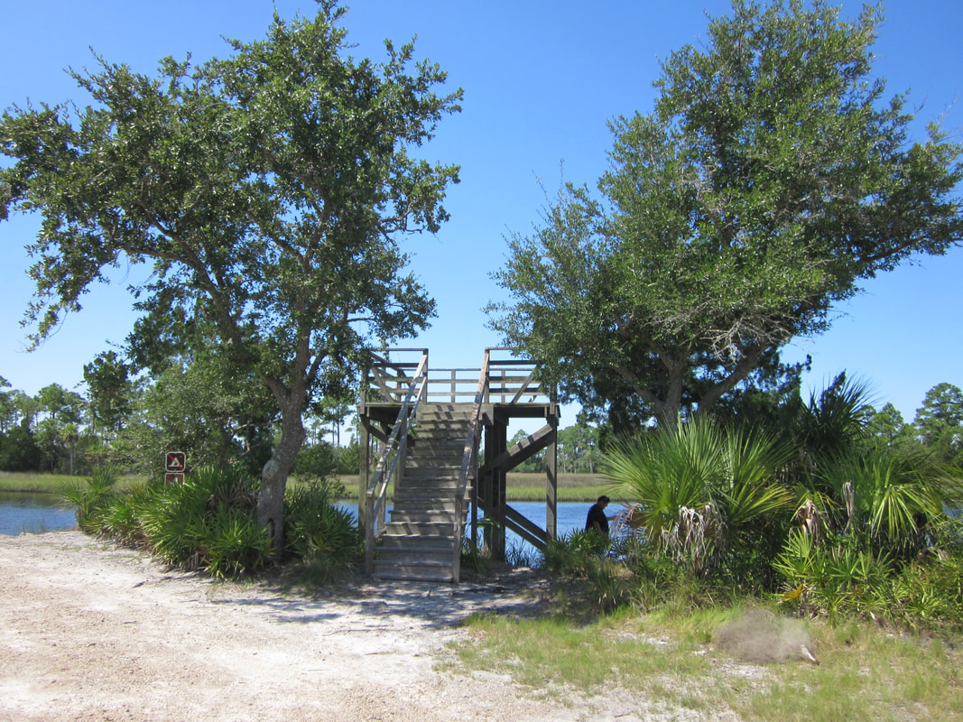 Fishing and Viewing platform before the vandalism that required it to be closed