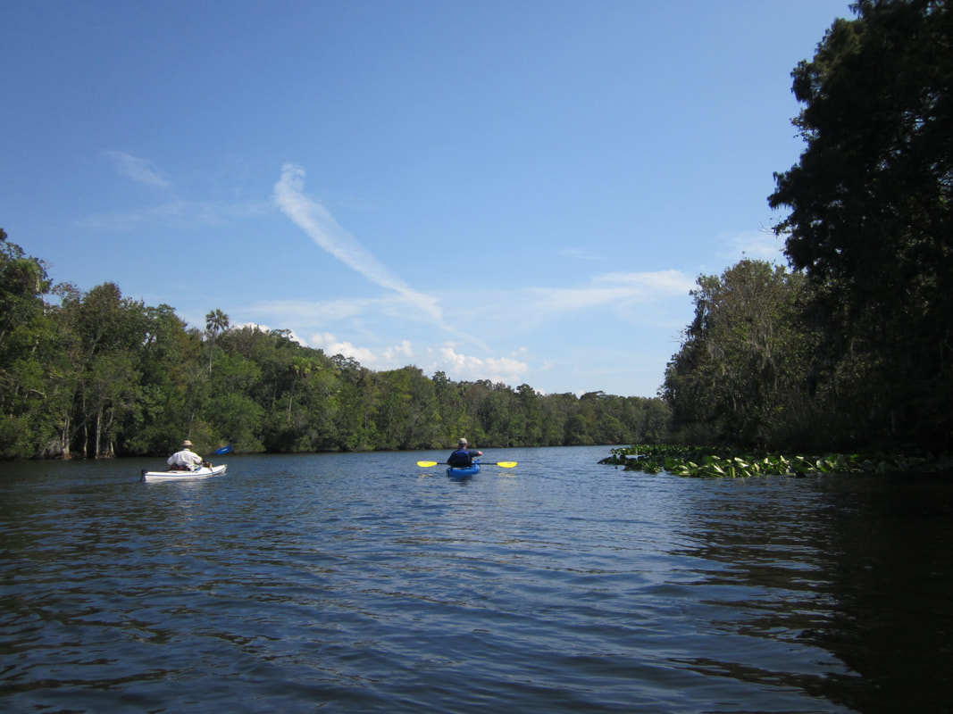 kayakers on the Suwannee River
