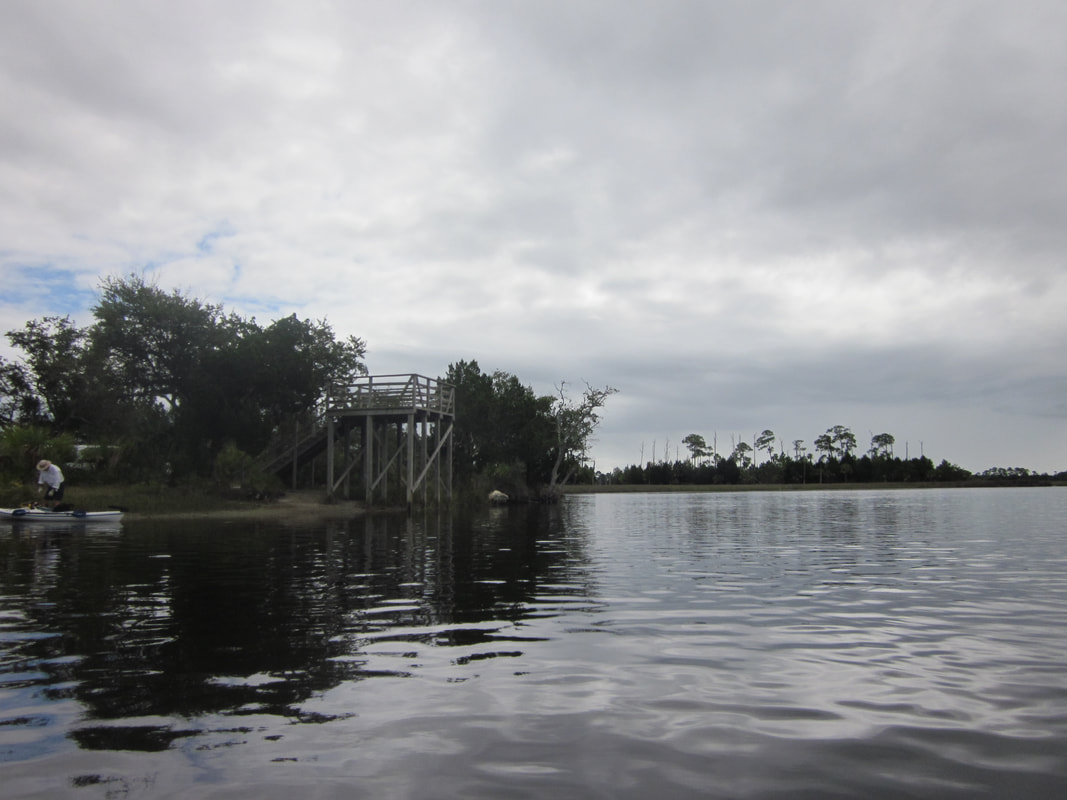an image of the fishing and viewing platform at Fishbone Creek, looking over the water