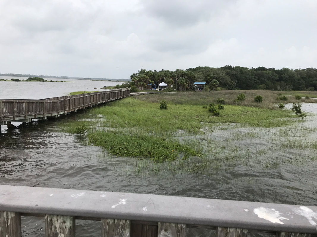 Picture Looking toward land from Shell Mound pier