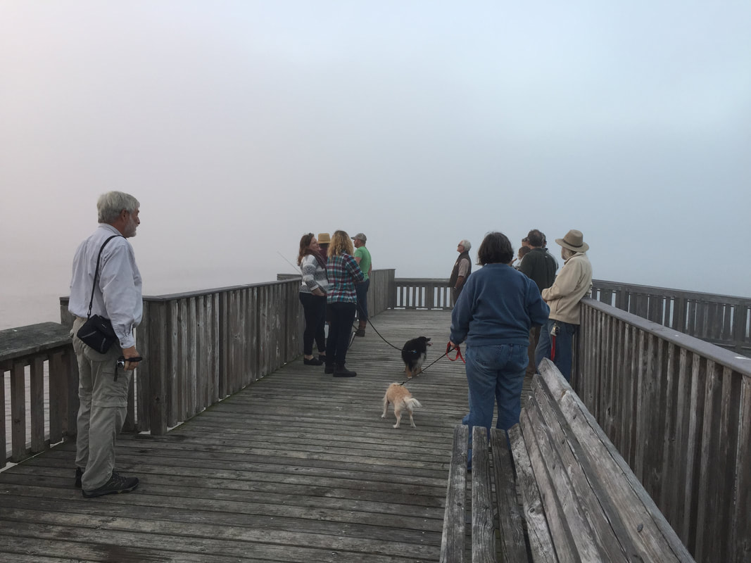 Picture of a group of Friends members and visitors hoping the overcast lifts enough to see the sun set.