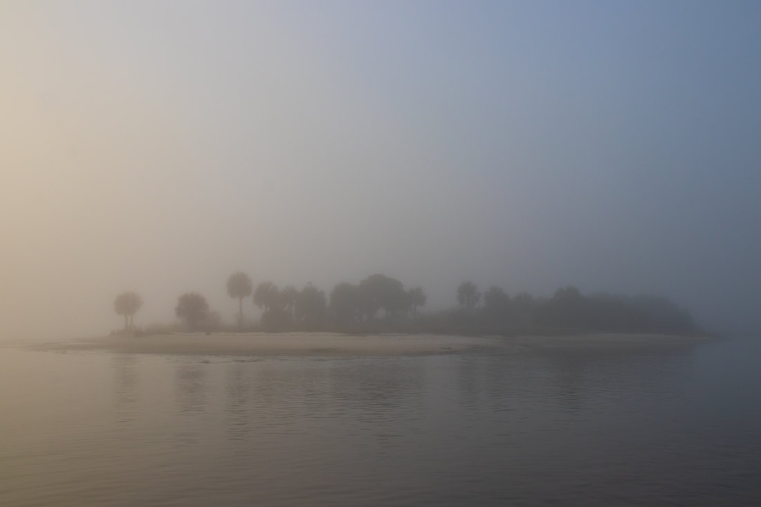 Picture of  Seahorse Key in the fog as the boat approached the island