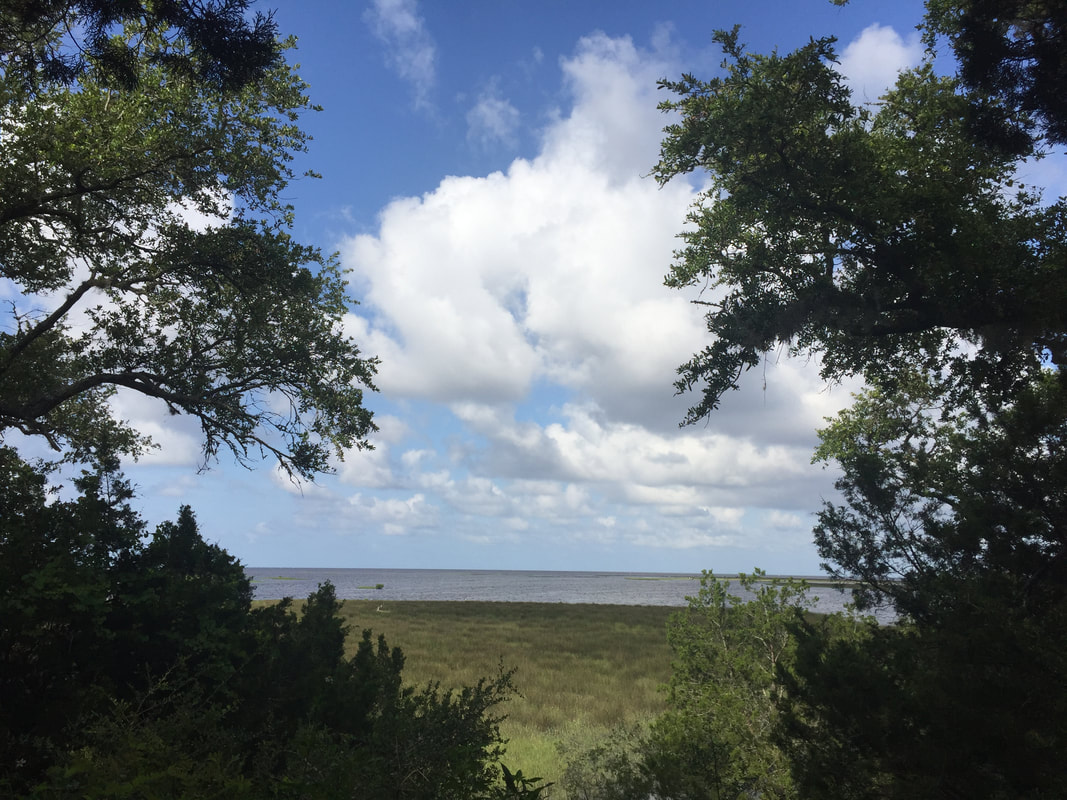 Picture from highest point along Shell Mound trail looking out to the Gulf