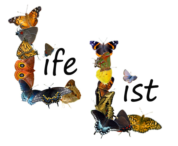 Words life and list with the  first letters formed by overlapping photos of butterflies