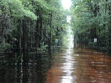 Picture of the flooded Nature Drive in 2019 
