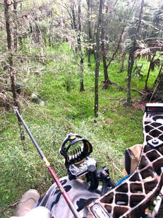 Picture of archery equipment in hands of hunter in the woods 