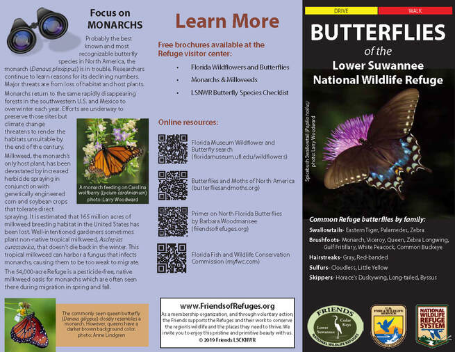 How High Can Butterflies Fly? - Wildlife Informer