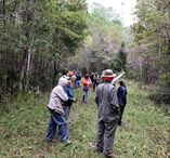 Picture of participants identifying plants along the trail