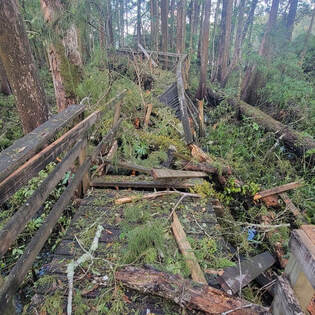 Picture of damage to the River Trail boardwalk. 