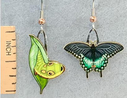 Picture of earrings with a Spicebush Swallowtail butterfly on one ear and its and cocoon on the other