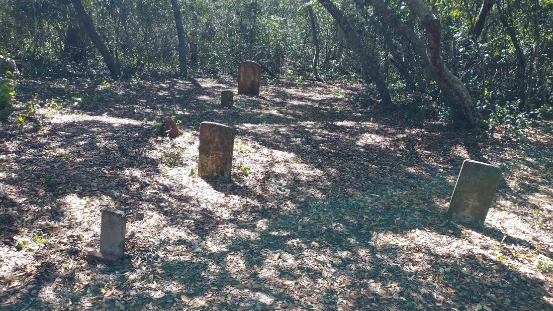 Picture of The Cemetery at Seahorse Key