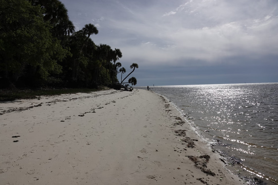 Picture of The Beach at Seahorse Key