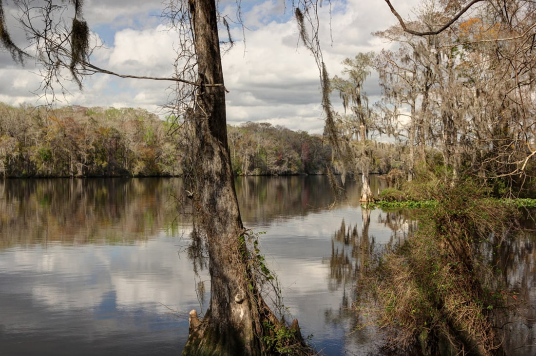 Picture of the Suwannee River from the River Trail, in winter, by Ann Kamzelski