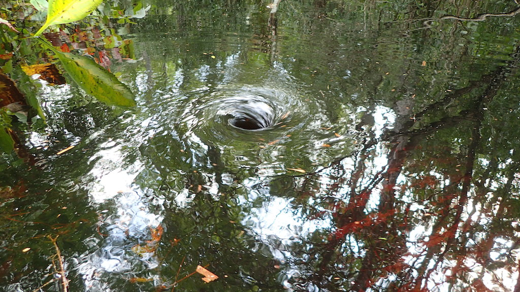 Picture of a whirlpool caused by flooding on the Dixie Mainline in 2019